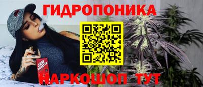 эйфоретик Гудермес