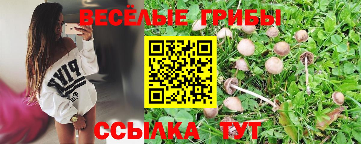 Бугуруслан  купить наркотики цена  Вход с VPN  Галлюциногенные грибы ЛСД 