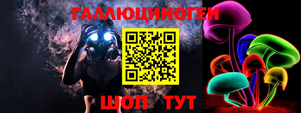 Галлюциногенные грибы Psilocybe Бугуруслан